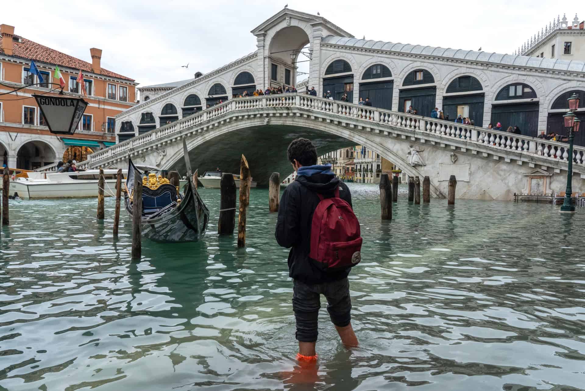 pont rialto pendant l'acqua alta pont rialto pendant l'acqua alta