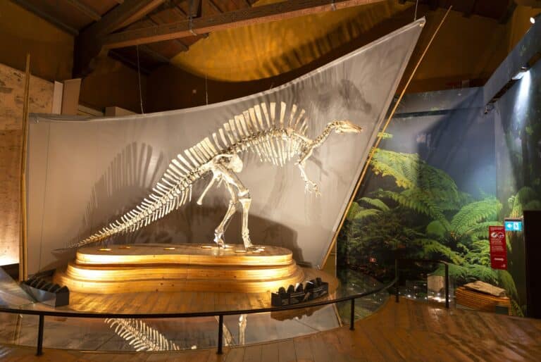 Entrée au musée d'Histoire naturelle de Venise